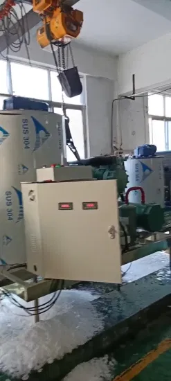 Lier Best Quality Seawater Flake Ice Making Machine for Seafood Processing (5T/DAY)