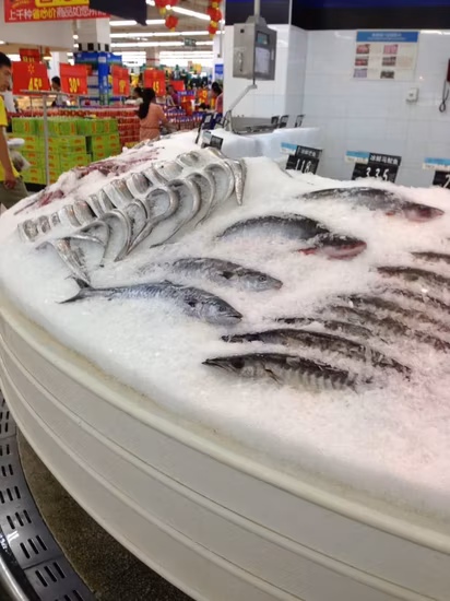 Lier Best Quality Seawater Flake Ice Making Machine for Seafood Processing (5T/DAY)