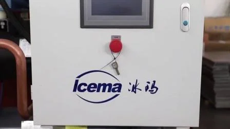 10ton Widely Used Automatic Factory Sales Brine Block Ice Machine