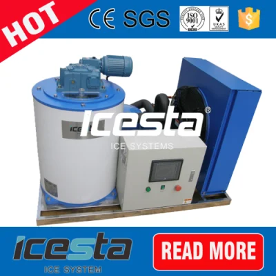 Compact Design Seawater Flake Ice Machine 5t